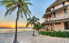Alaya Tulum By Ahau Collection